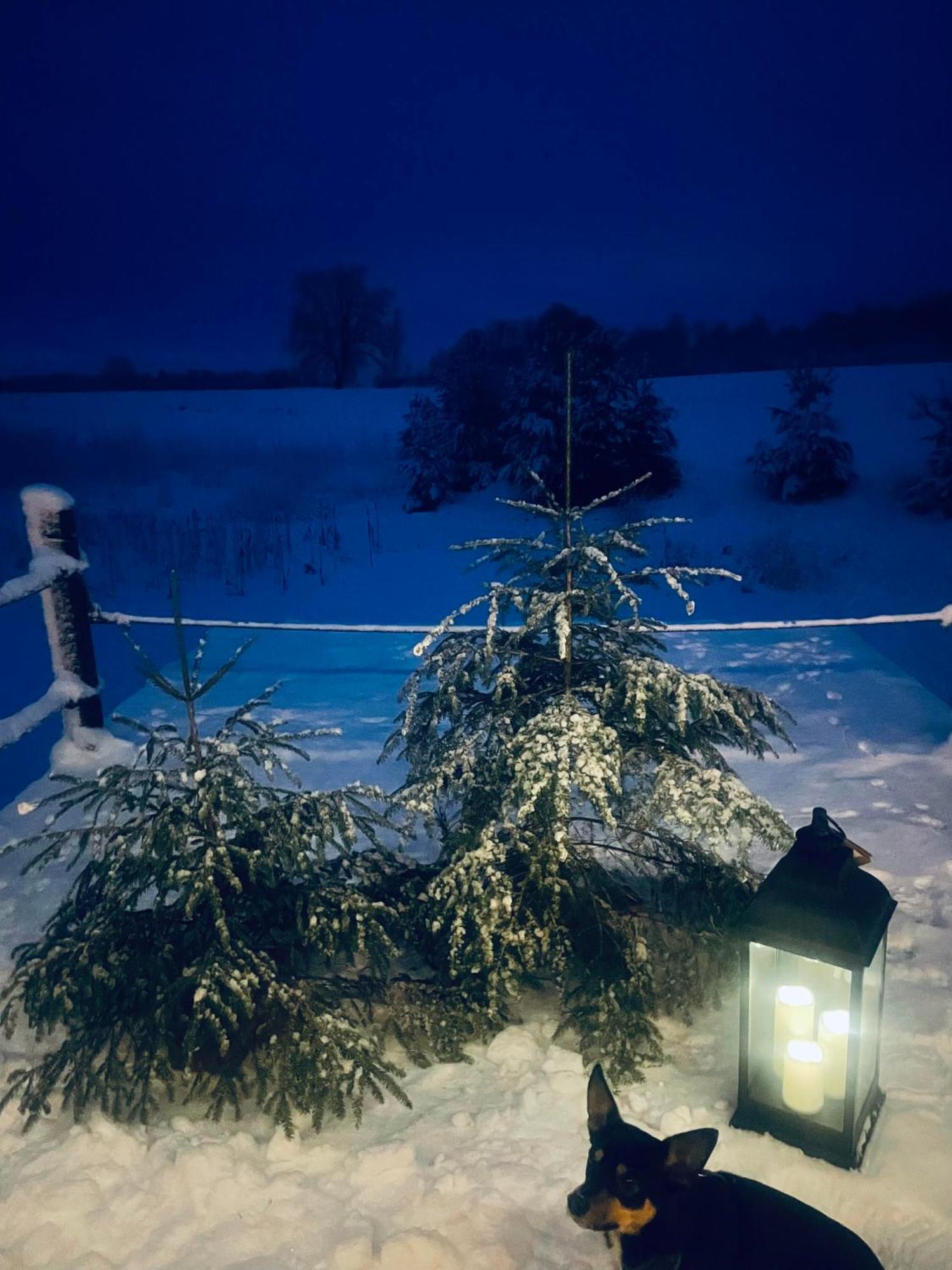 Vecvanagi Jaunmuiza Exteriér fotografie