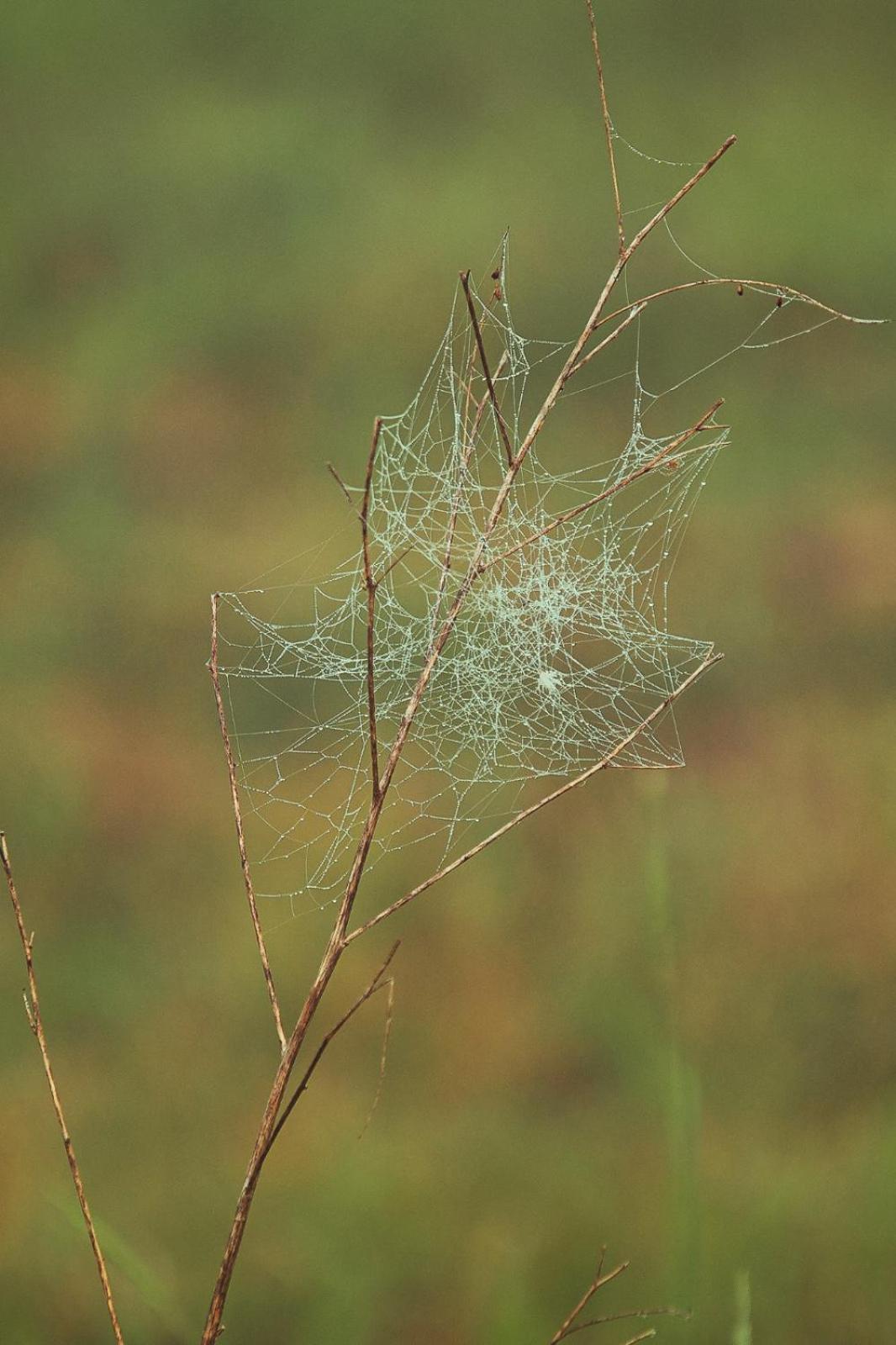 Vecvanagi Jaunmuiza Exteriér fotografie